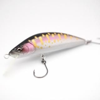 DP62RFMark3饯ȥ饦2