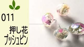 11֤ȥ쥸Ǻץåԥ