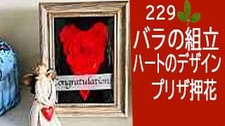 229ХΩȡץꥶ֥ɲ֤ΥϡȤΥǥ