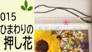 15Ҥޤβ֤κ