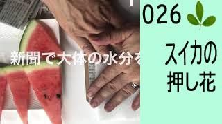 26β֤κ