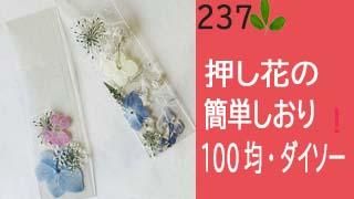 237器械がいらないラミネートで 簡単 押し花のしおり作り 花雑貨 アトリエhana Ya