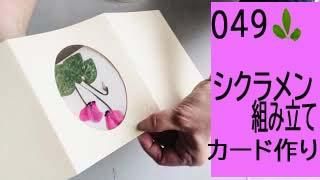 49β֤ȤΩƤȥɤκ