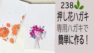 2388֥ϥꡪѤϤǴñ˲֥ϥĤ