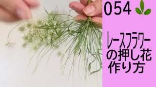 54졼եβ֤κ