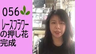 56졼եβִ