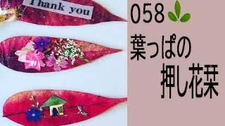 58ڲ֤դäѤβ