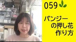 59ѥ󥸡β֤κ