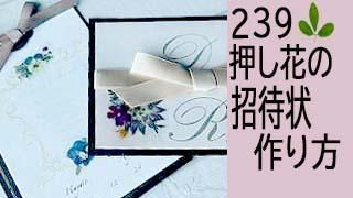 239ڷ뺧ղԾκ۲֤ξԾκ