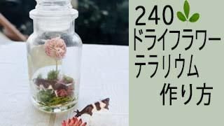 240ڥƥꥦۥɥ饤եǴñƥꥦܥȥڤ