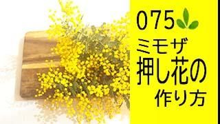 75 ߥ⥶β֤κ