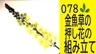 78 ڲ֤Ω۶β֤ȤΩ
