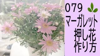 79ڲ֤κۥޡåȤβ֤κ