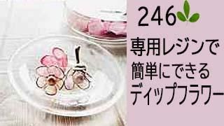 246ѥ쥸Ǵñǥåץե