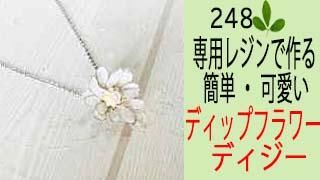 248ڥǥåץ쥸ۥǥκѥ쥸ǡñ˥ǥåץեĤ롪