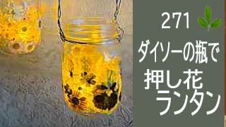 271【100均押し花】ダイソーの瓶で作る可愛い押し花ランタンの作り方”キャンプなどにも便利！！