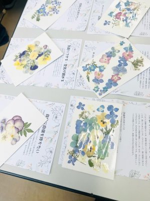 SPFStudy Pressed Flower Therapy֥ԡٶ륳