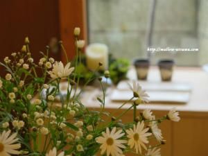 Mallowマロウ ONLINE SHOP