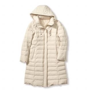 ������3710079 �ա����ե��󥰥�����