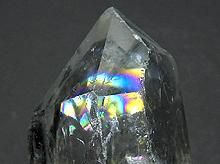 쥤ܡ徽å֥饸뻺ŷ徽ݥȡ15g