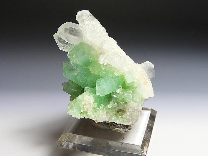 パキスタン産グリーンクォーツ｜Crysterra