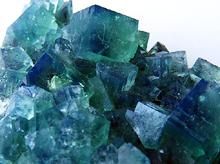 ۸ǥ顼󥸡ʥޥꥢե饤ȡñѹ񻺡66gNo.4