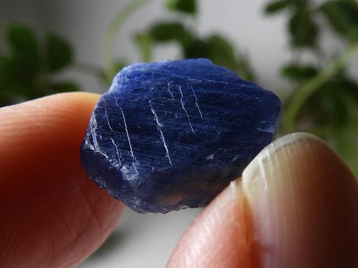 レコードキーパーサファイア（コランダム）｜Crysterra