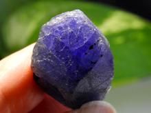 169275605.jpg?cmsp_timestamp=