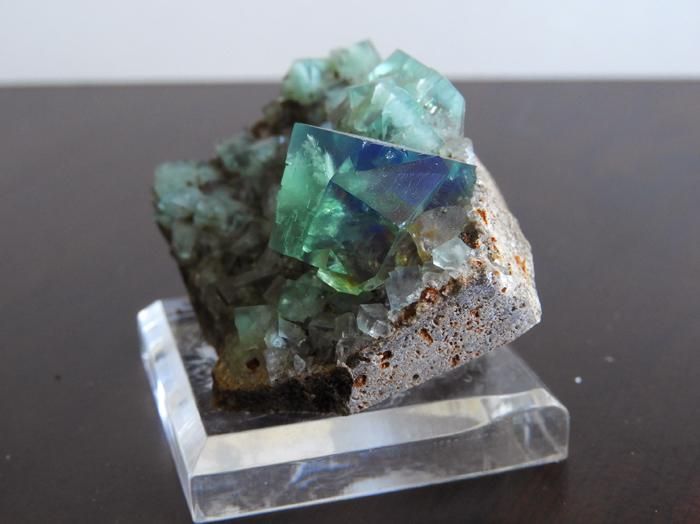 レディアナベラ toxic apple pocket フローライト レアポケット 強蛍光