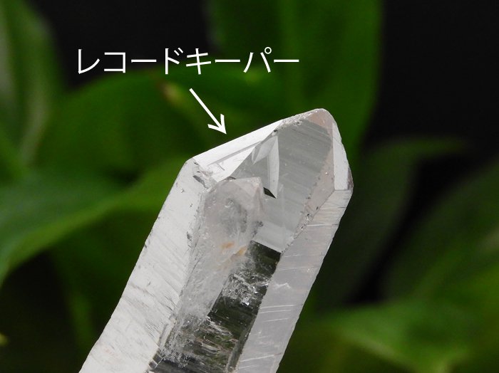 コロンビア産レムリアン水晶ポイント/Columbian Lemurian Crystal