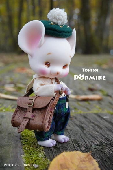 【即納品】 Dormire - risubaco webshop