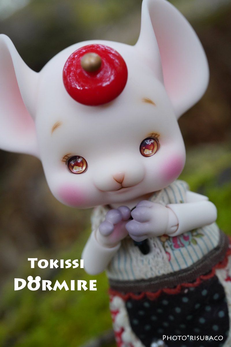 【即納品】 Dormire - risubaco webshop