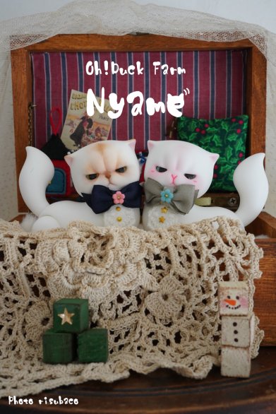 【即納品】 Nyame - risubaco webshop