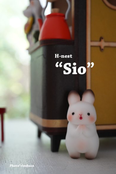 【即納品】 Sio - risubaco webshop