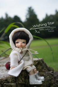 【即納品】2022 Limited “Wishing Star MiRo”
