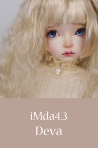 【受注品】iMda4.3 Deva ※OPにより価格が異なる