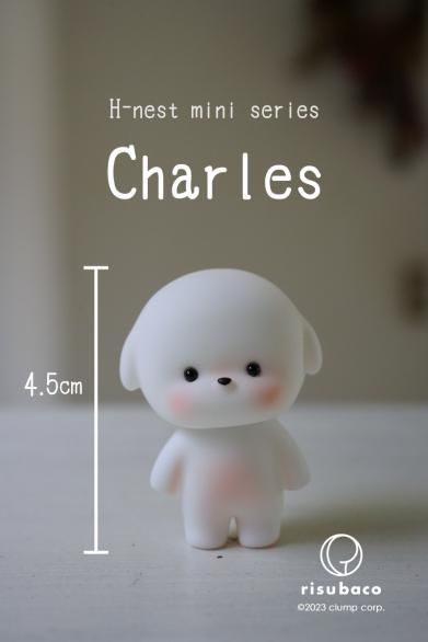 即納品】 Charles,Donguri Basic ver ※種類により価格が異なる