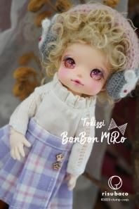 ¨ǼʡBonBon MiRo