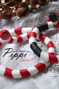 ¨Ǽʡ Pippi Special