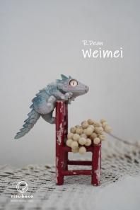 ¨Ǽʡ Weimei