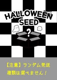 ¨Ǽʡ Halloween Seed Doll