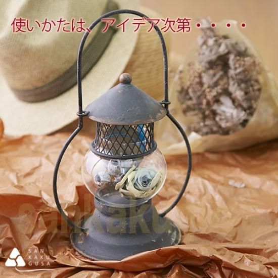 さんかく草 ティーライトキャンドル キャンドル