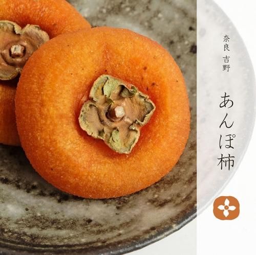 �ߤΤ������� / ���ɵ���Τ���ݳ�