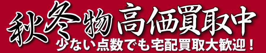 ֥ɸ衦FORESIGHTʥեȡ