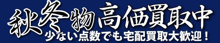 ֥ɸ衦FORESIGHTʥեȡ