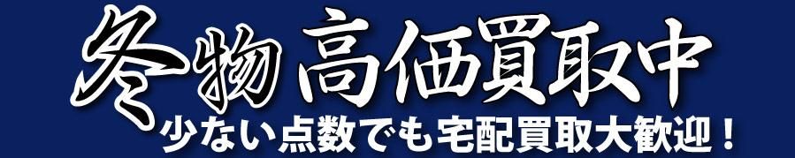 ֥ɸ衦FORESIGHTʥեȡ