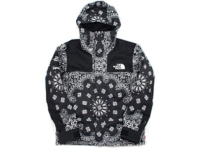 Supreme×THE NORTH FACE 'TNF Bandana Mountain Parka'バンダナ