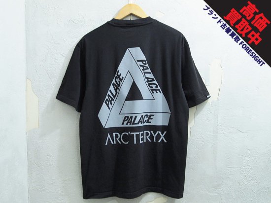 PALACE Skateboards × Arc'Teryx 'T-Shirt'Tシャツ アークテリクス ...
