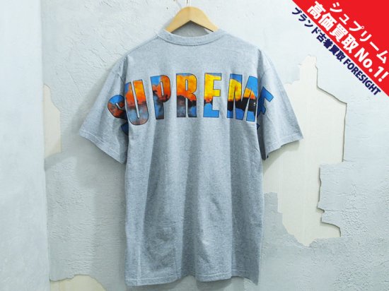 supreme crash tee シュプリーム クラッシュ Msize-