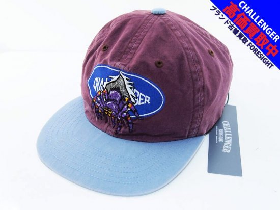 CHALLENGER 'LOGO SPIDER CAP'ロゴ スパイダー キャップ GREEN PURPLE チャレンジャー -  ブランド古着の買取販売フォーサイト オンラインストア